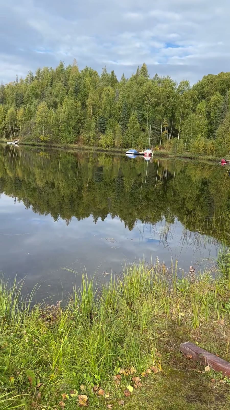 A calm Alaska lake reflecting green trees